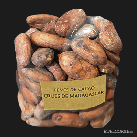 Fèves de Cacao crues