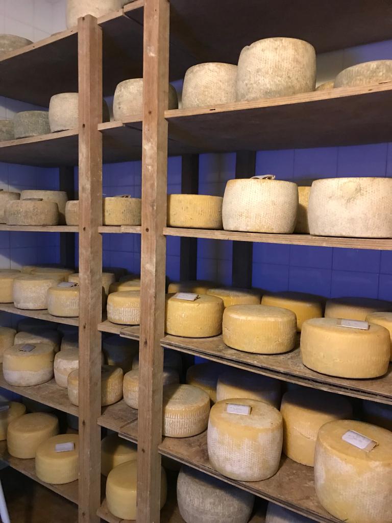 Cave fromages affinage fermier - U Diceppu - Ethicorse